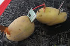 无线鼠标用土豆发电