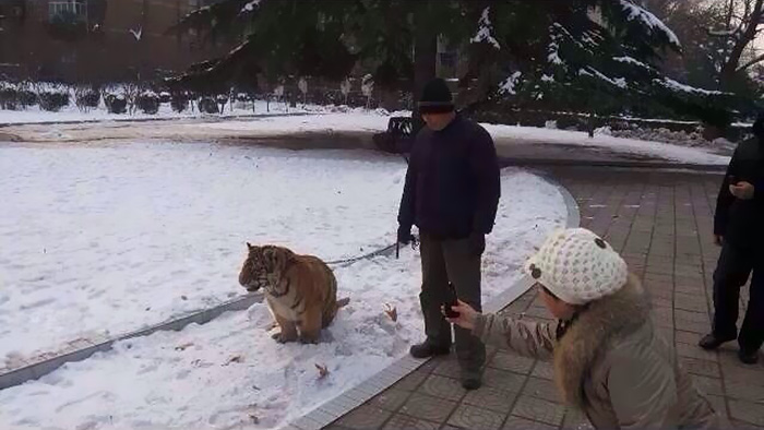 ԰԰ԱϺϻͼƬԴ磩