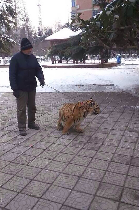 ԰԰ԱϺϻͼƬԴ磩