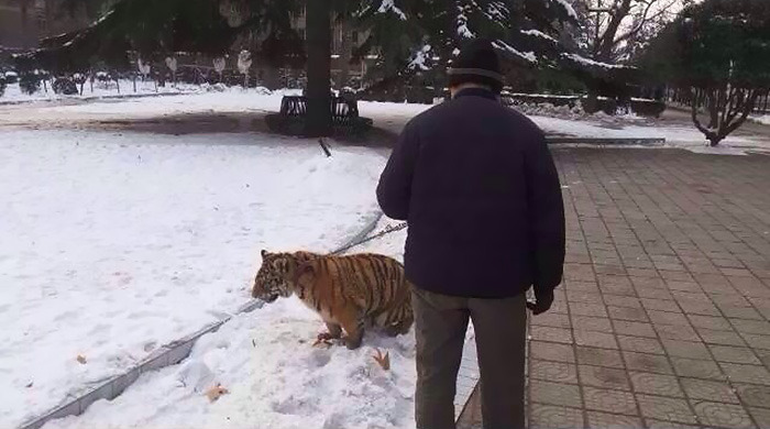 ԰԰ԱϺϻͼƬԴ磩