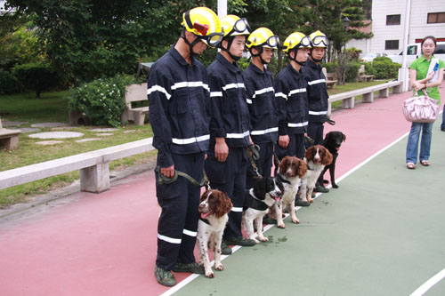 厦门市消防工作部门联动 防微杜渐 成效显著